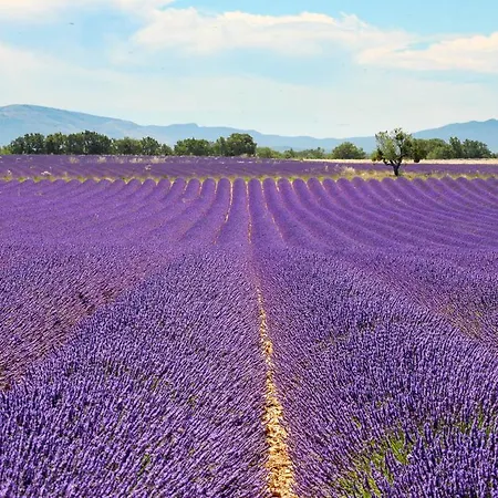 Du Vallon * Allemagne-en-Provence